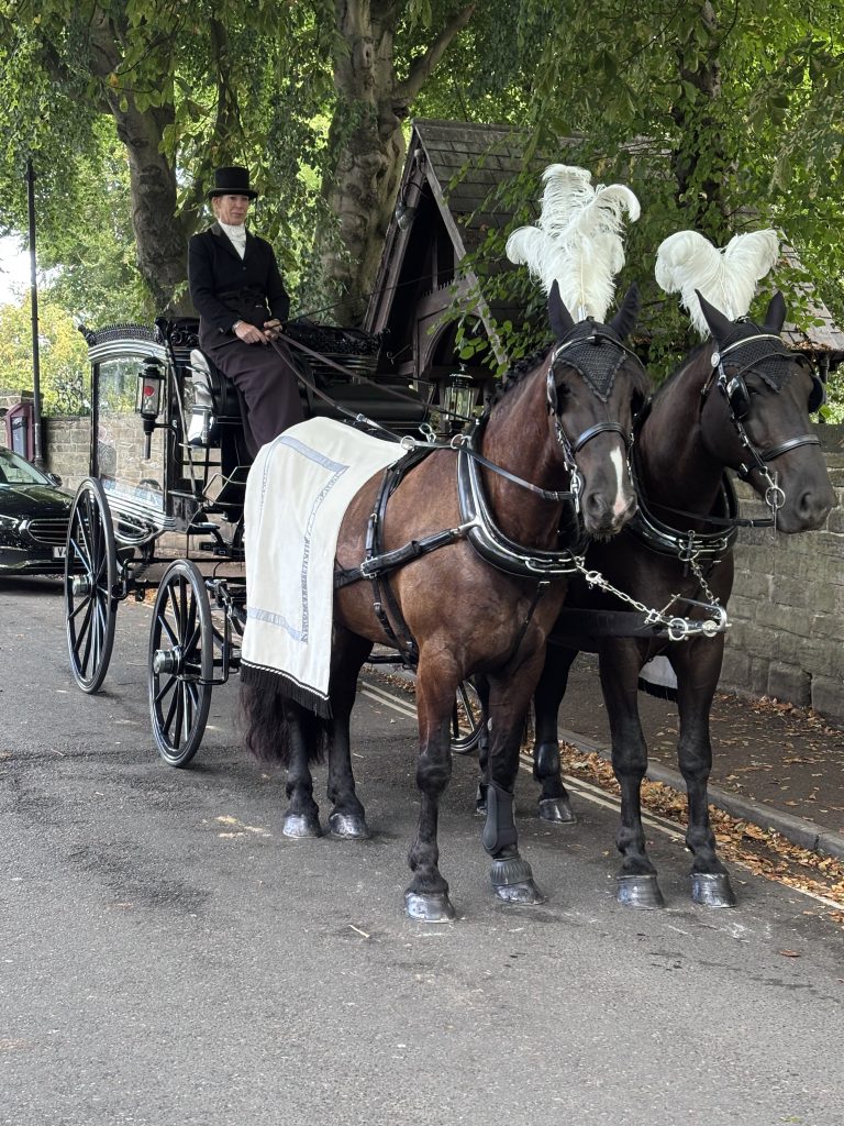 Horse Drawn Carriage